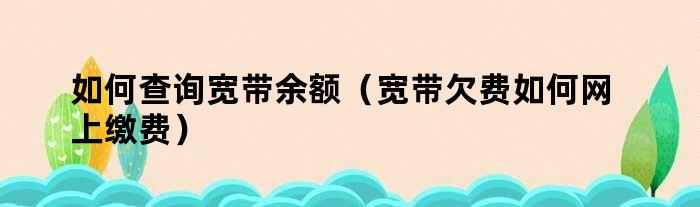 如何查询宽带余额（宽带欠费如何网上缴费）