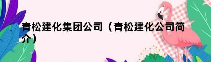 青松建化集团公司（青松建化pg电子游戏平台的简介）