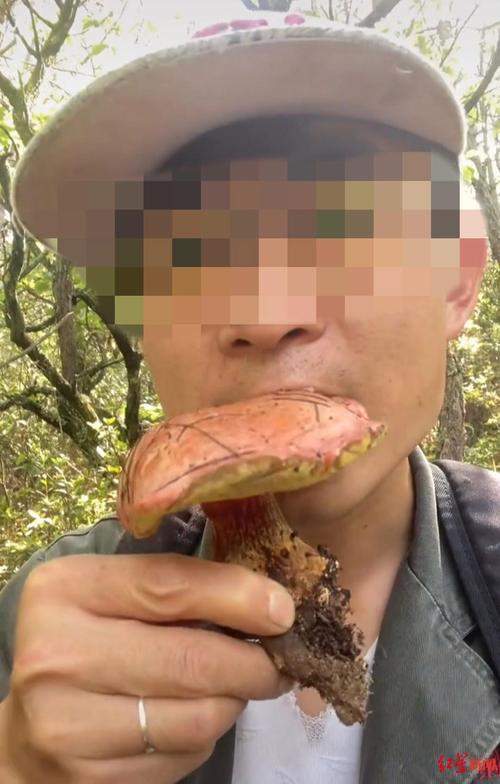 网红生吃见手青 称小小蘑菇不在话下 专家：切勿随意食用