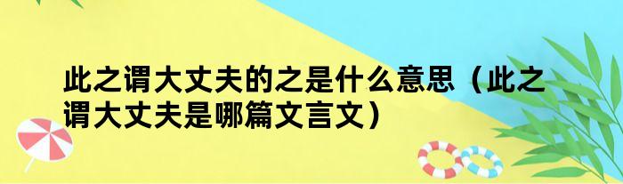 此之谓大丈夫的之是什么意思（此之谓大丈夫是哪篇文言文）